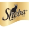 Sheba (17)
